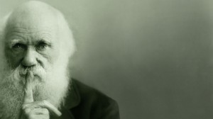 Дарвин теория эволюции