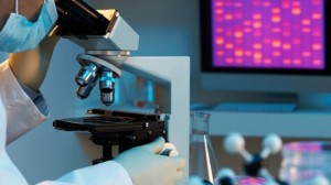 Искусственные клетки печени из клеток кожи