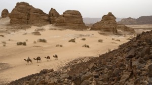 Экотуризм Египет тропа бедуинов