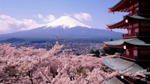 Япония цветение сакуры туризм
