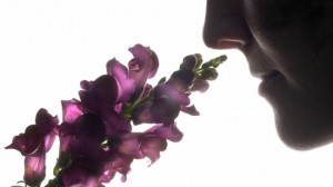 Запах и воспоминания