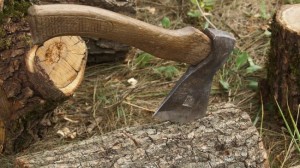 Зарубил топором