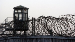 Колония Волгоградская область