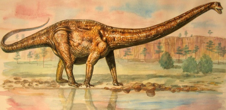 динозвр маменчизавр