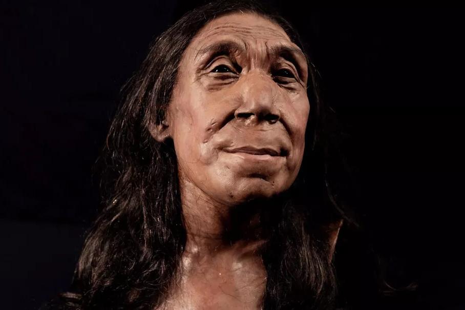 Британские ученые воссоздали лицо неандертальской женщины