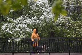 Early May in Russia broke the observation record