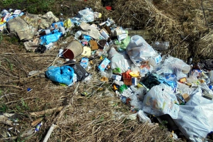 На брянских полях ликвидируют мусорный коллапс
