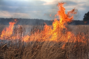 Возле Якутска загорелась трава на площади около 10000 кв. м, угрозы столице региона нет