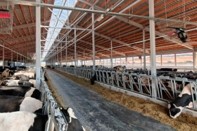 Перемышльские аграрии модернизируют молочные комплексы при помощи государства