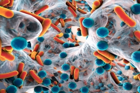 Ученые заявили, что микробиом кишечника влияет на принятие решений человеком