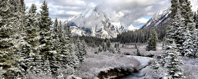 Климатолог рассказала, чем страшна малоснежная зима