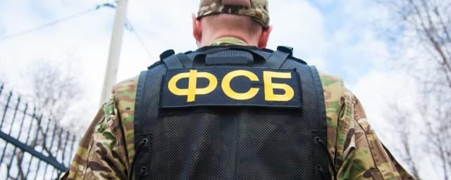 Воронежский Следком опубликовал видео задержания мужчины за экстремистское видео в сети