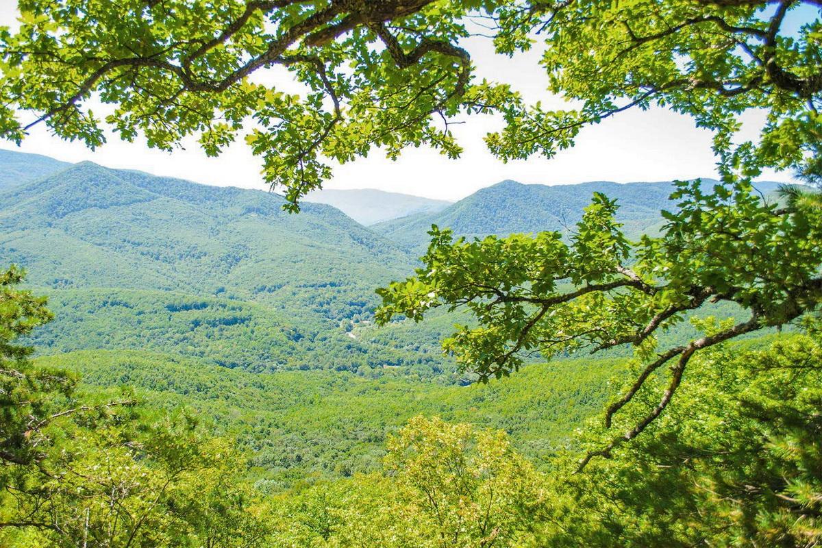 Спикер ЗСК Юрий Бурлачко: Кубань – это не только море и пляжи, но и всё более популярные у жителей и гостей края горы, леса и водные объекты