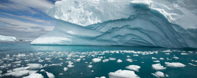 Лёд возрастом более 500 лет привезли в Петербург из Антарктиды