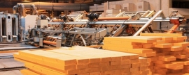 В ТиНАО откроют предприятие по производству строительных материалов из дерева