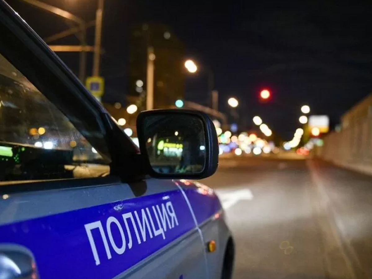 Выпускникам школ в Городском округе Пушкинский предложили стать блюстителями закона