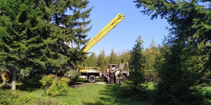 В Бердске водитель крана задел линию электропередачи и погиб от удара током