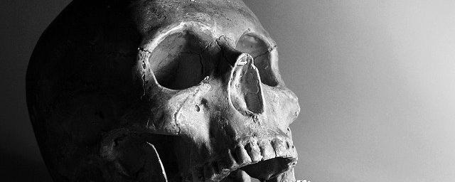Череп самого древнего прямоходящего человека нашли в ЮАР