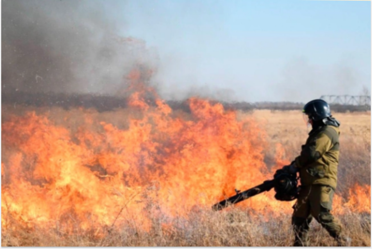 Губернатор Амурской области доложил Путину о мерах по борьбе с пожарами