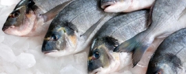 В России грядет рост цен на рыбу