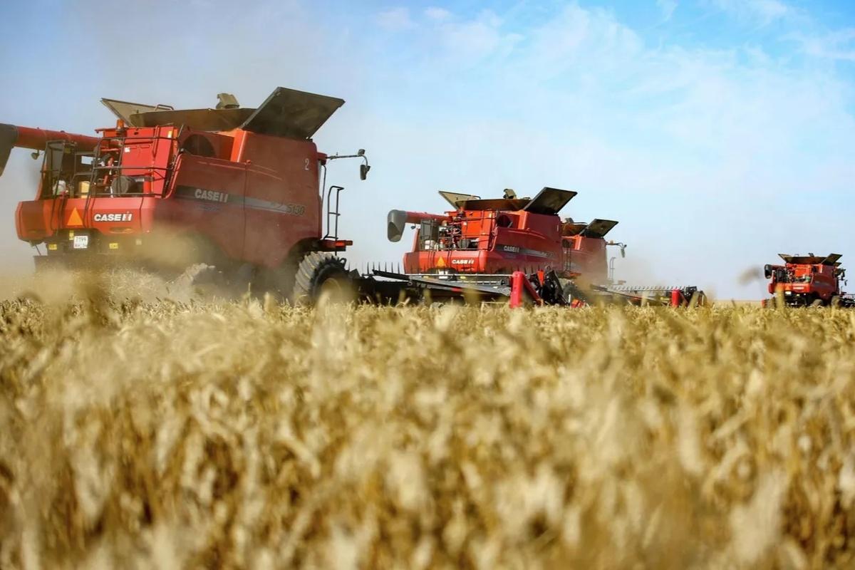 В Мордовии выберут лучших специалистов в агрономии, ветеринарии и сыроварении