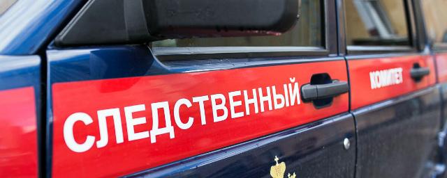 Брат убитого в Екатеринбурге 9-летнего мальчика находится в психбольнице