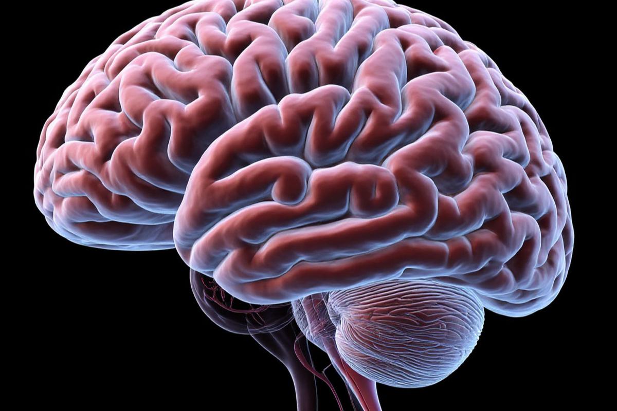 В ННГУ разработали нейросеть для диагностики типов опухоли мозга