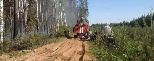 В Лежневском районе Ивановской области потушили лесной пожар на площади 1,4 га