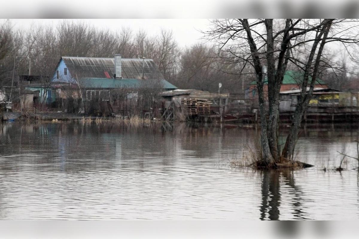 В Омской области подсчитали ущерб от предстоящего паводка