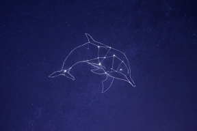 Новосибирский астрофотограф запечатлел редкую туманность «Голова Дельфина» в экстремальных условиях