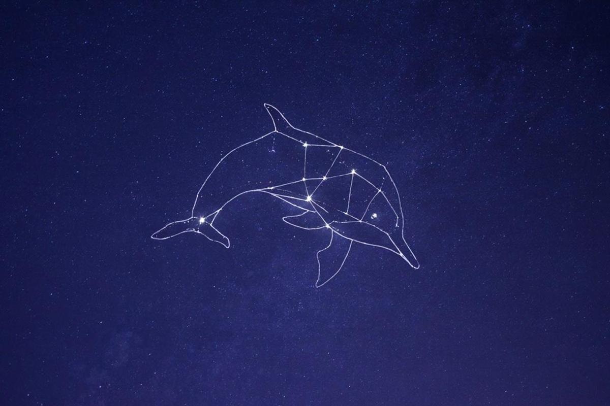 Новосибирский астрофотограф запечатлел редкую туманность «Голова Дельфина» в экстремальных условиях