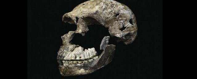 В Южной Африке нашли кладбище представителей вида Homo naledi