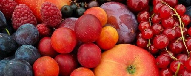 В России к 2025 году производство плодово-ягодной продукции достигнет 2,2 млн тонн