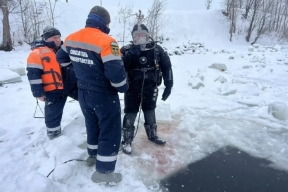 В Башкирии завершилась операция по поднятию со дна озера сотен утонувших овец