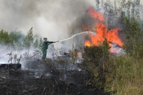 Жителей двух населенных пунктов Рязанской области эвакуируют из-за природных пожаров