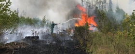 Жителей двух населенных пунктов Рязанской области эвакуируют из-за природных пожаров