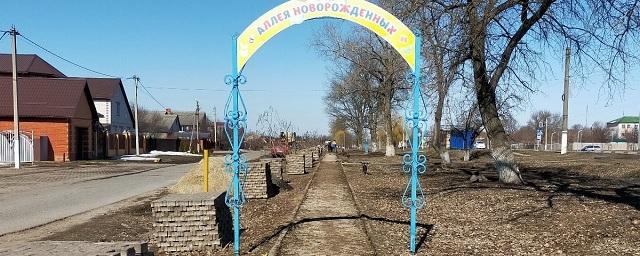 В белгородском городе Валуйки начали за 13 млн рублей благоустраивать Аллею новорожденных