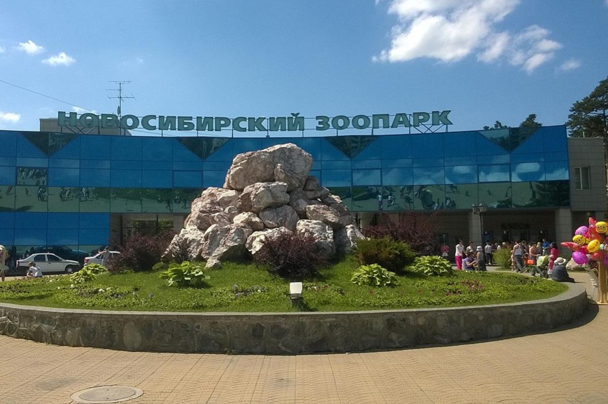 Животных ждет тыквенный праздник: Новосибирский зоопарк принимает свежие овощи