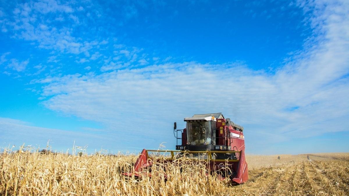 В Чувашии субсидии на покупку сельхозтехники получат более 150 аграриев