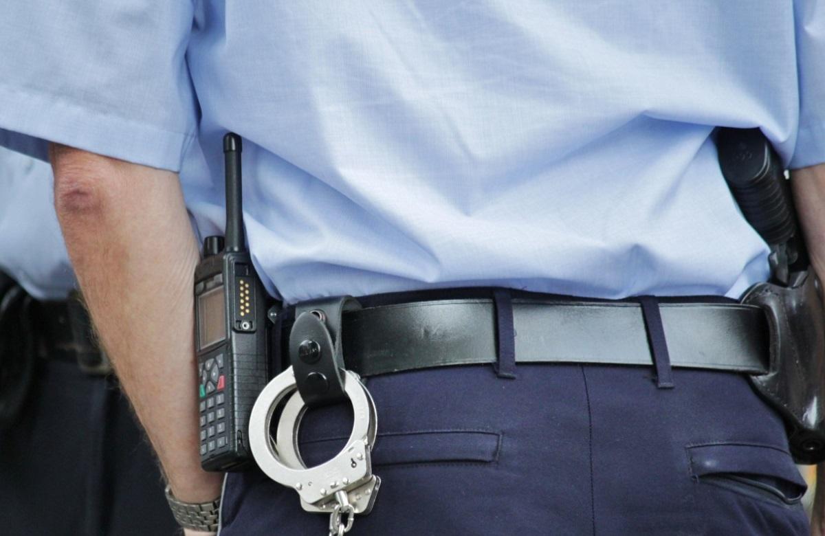 Полицейские в Марий Эл накрыли банду мошенников, которые незаконно получили материнский капитал