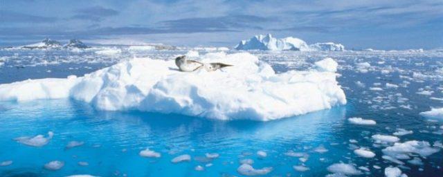 Северный Ледовитый океан дважды становился пресным за 150 тысяч лет
