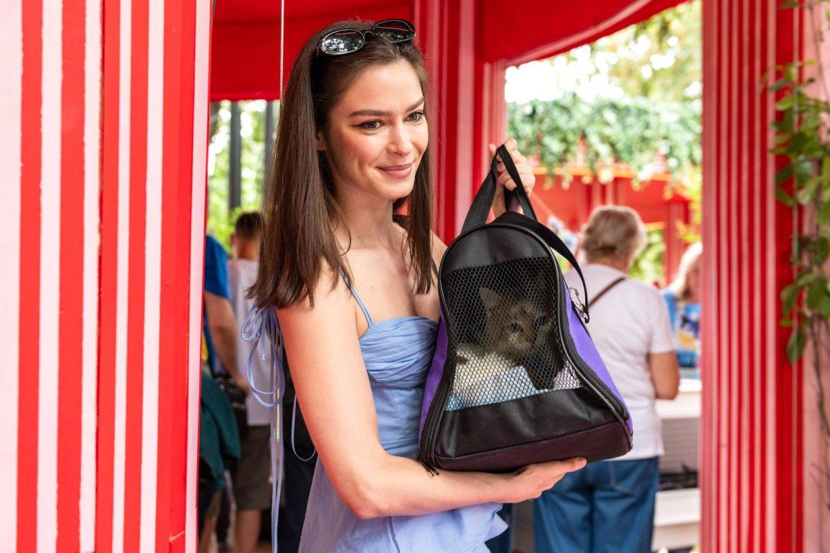 Фестиваль «Моспитомец» собрал на одной площадке  животных 13 городских приютов