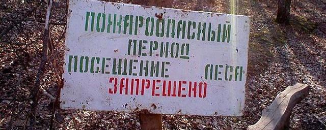 В Шадринске с 22 апреля вводится запрет на посещение лесов