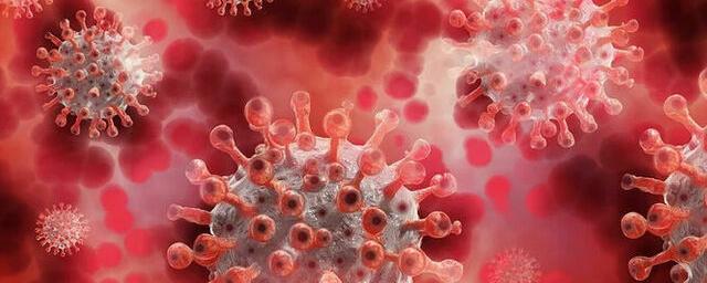 Вирусолог Чепурнов допустил, что омикрон-штаммом чаще заражаются переболевшие коронавирусом