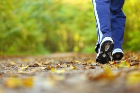 Ученые нашли связь между работой мозга и ежедневными пешими прогулками