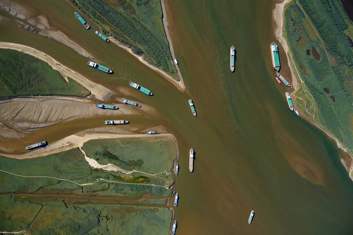 В Астраханской области стартовала осенняя путина с квотой 53 тысячи тонн