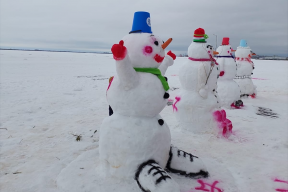 В Архангельске потратили полтора миллиона рублей на снеговиков, растаявших на следующий день