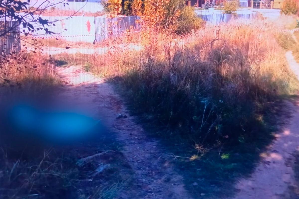 В Марий Эл выясняют обстоятельства убийства 50-летнего мужчины