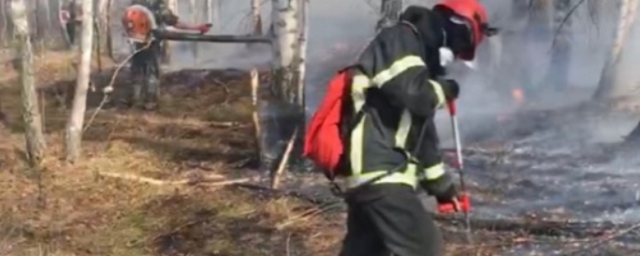 В выходные в трех районах Хакасии произошел всплеск лесных пожаров, пострадали более 1300 га