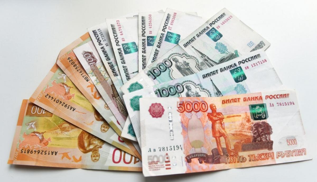 Депутат Чаплин: Для открытия бизнеса можно получить до 350 тысяч рублей от государства